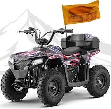 4 Wheeler for Kids 8-14 40CC 4-Stroke Kid Quad Gas Powered Utv, Max Load 165 lbs (Gas-Powered Flag)